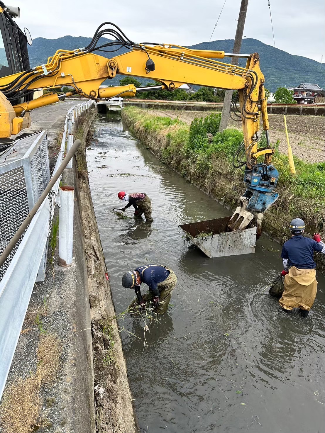 川草撤去清掃